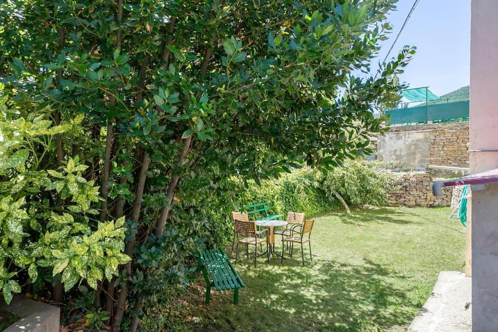 Casa Feli - Apartamento Con Jardin Privado En Los Pirineos Castiello de Jaca Dış mekan fotoğraf